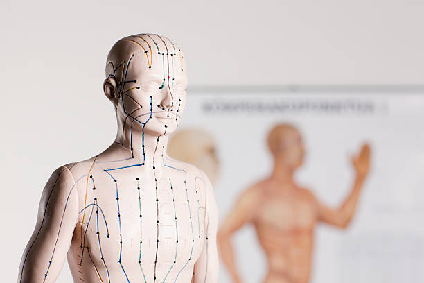 atelier Do in et gym du cerveau pour retrouver son énergie à Clamart
